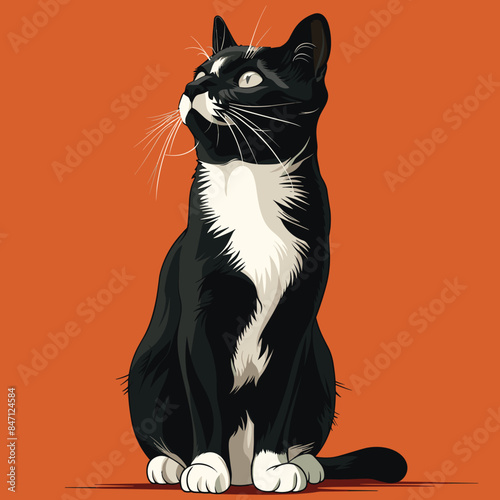 Black white cat sitting against orange background. Tuxedo cat artwork detailed fur whiskers, gazing upwards. Pet illustration ideal animal lovers interior decor