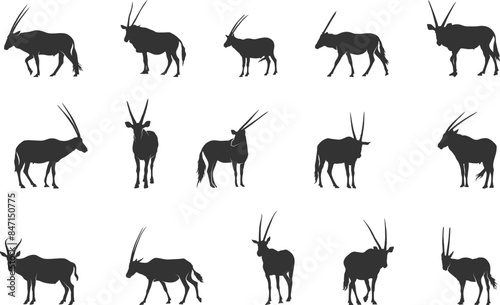 Oryx silhouettes,  Oryx svg, Horned animal silhouettes, Horned oryx svg, Oryx gazella svg, Oryx vector set.