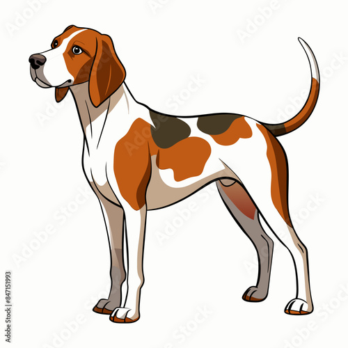 american english coonhound on white full silhouette illustration