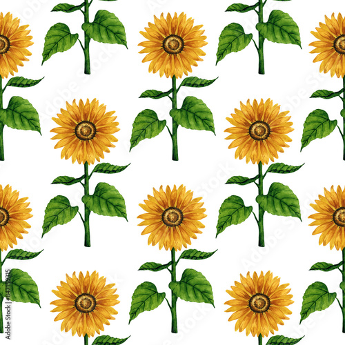 Watercolor sunflower seamless pattern. Floral background with yellow flowers. Summer floral composition. Autumn flowers arrangement. Hand drawn botanical illustration for packaging, textile, scrapbook