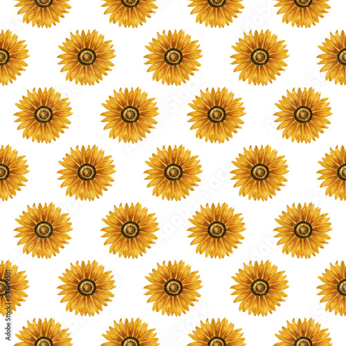Watercolor sunflower seamless pattern. Floral background with yellow flowers. Summer floral composition. Autumn flowers arrangement. Hand drawn botanical illustration for packaging, textile, scrapbook