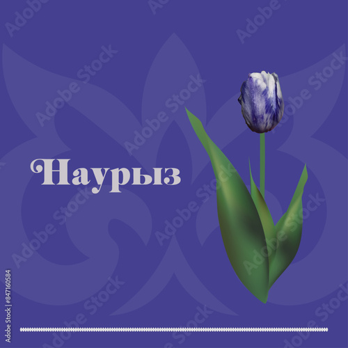 Realistic blue tulip on a blue background with Kazakh ornament. A holiday card. Nauryz holiday. Realistic Tulip flower on blue background. Vector illustration for your design