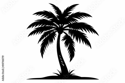 Palm tree silhouette vector art © Creative design zone