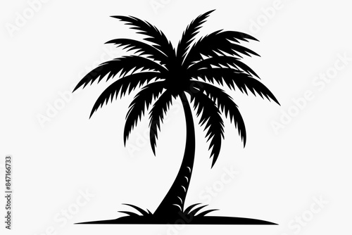 Palm tree silhouette vector art