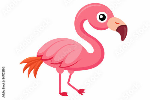 cartoon cute flamingo vector illustration