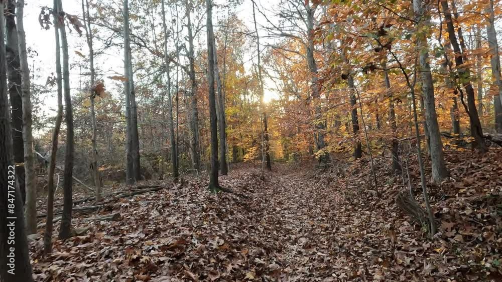 hiking on the trail in the park in the fall at sunset hiking on the trail in the park in the fall at sunset