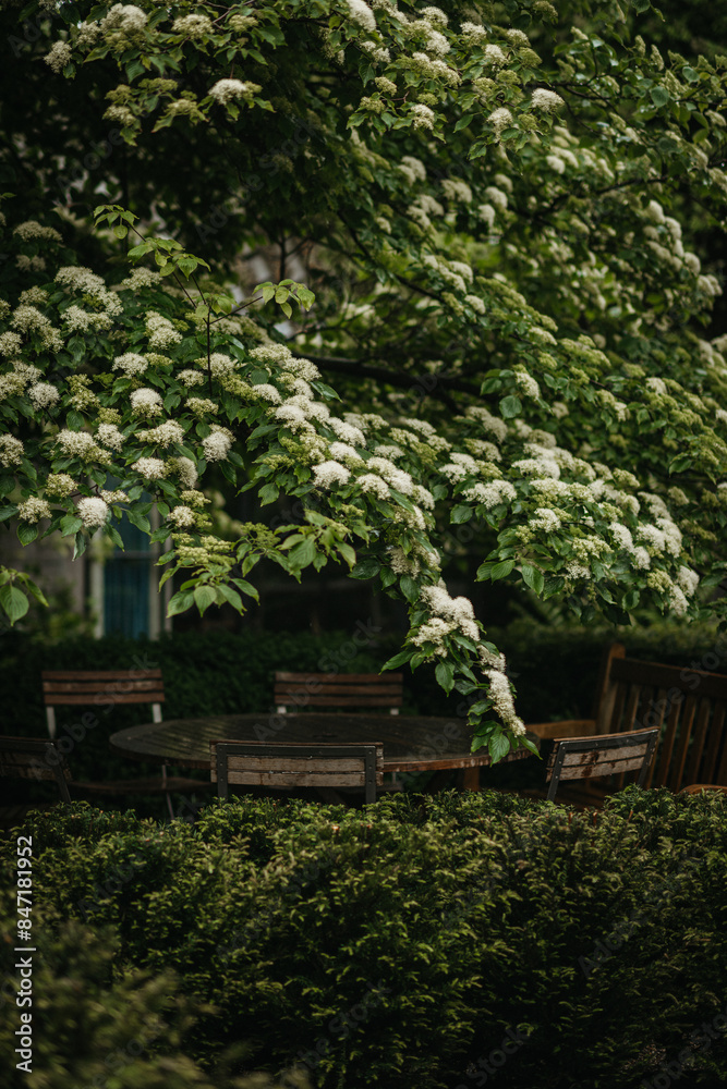 Beautiful backyard with round table and chairs Beautiful backyard with round table and chairs
