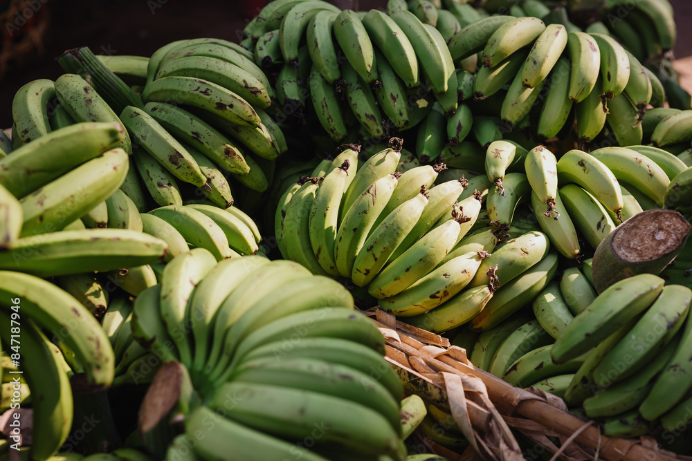Green Bananas in a Market Green Bananas in a Market