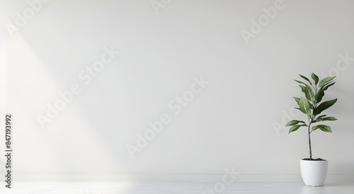 photo a small plant in white room background with copy space. Ideal for minimalist decor, interior design, modern lifestyle, and tranquil settings, with copy space