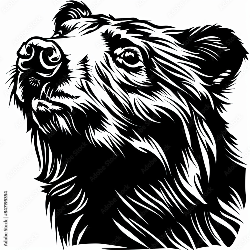 Fototapeta premium A black and white drawing of a bear 's head