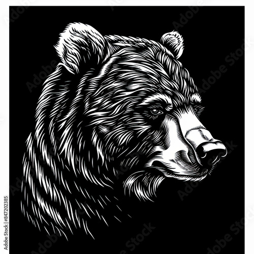 A black and white drawing of a bear 's head