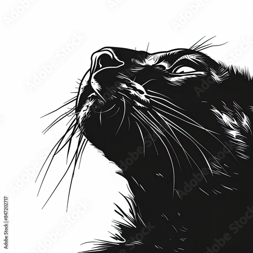 A black and white drawing of a cat looking up