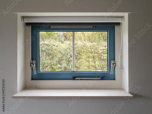 window and roller blind