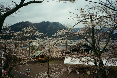 Echizen city in Japan in spring photo