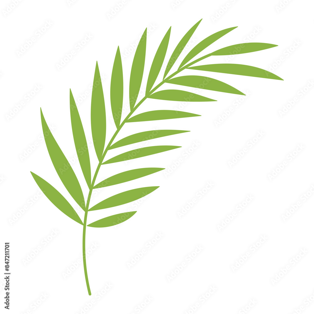 Tropical Minimalism: Stylized Green Palm Leaf Tropical Minimalism: Stylized Green Palm Leaf