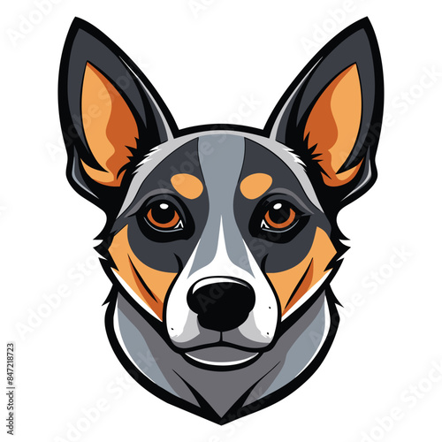 Vector illustration of an Australian Cattle Dog head, detailed portrait with expressive eyes and distinctive coat markings, perfect for logos and mascots
