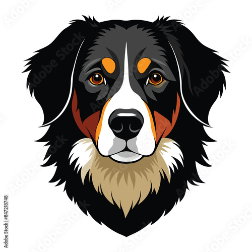 Detailed vector illustration of Bernese Mountain Dog head portrait, perfect for pet lovers, dog enthusiasts, and design projects requiring high-quality animal vectors