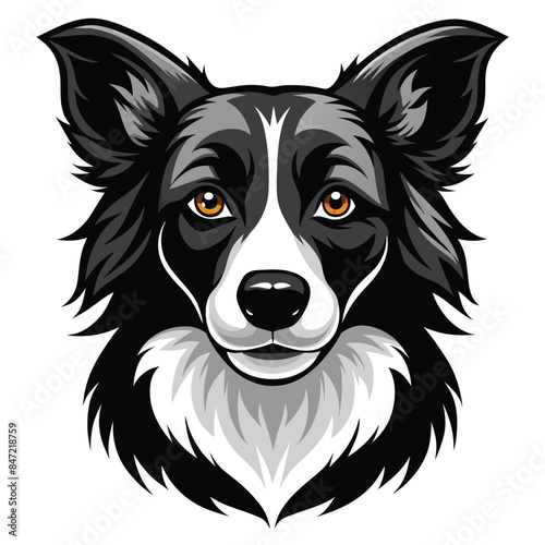 Detailed Vector Illustration of a Border Collie Dog Head Portrait with Realistic Features and Expressive Eyes