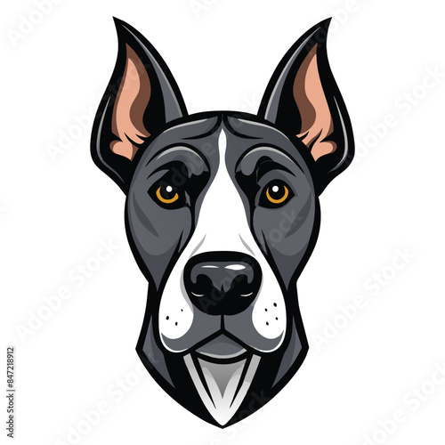 Vector illustration of a Great Dane dog head portrait with detailed features, black and white coloring, and attentive expression
