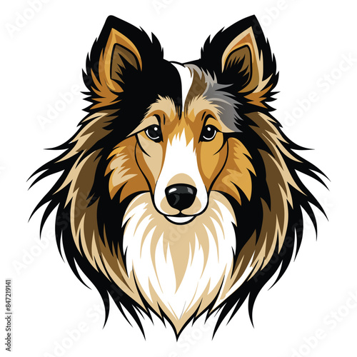 Vector Illustration of a Shetland Sheepdog (Sheltie) - Detailed and Colorful Dog Head Portrait in a Stylized Design