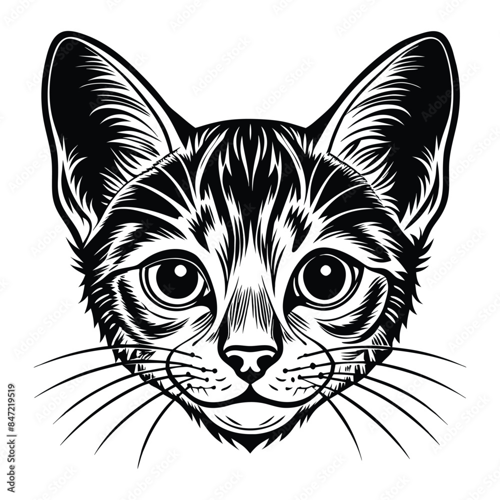 Detailed Vector Illustration of Bambino Cat Head with Intricate Line Art - High-Quality, Black and White Cat Portrait for Tattoos, Stickers, and Design Projects Detailed Vector Illustration of Bambino Cat Head with Intricate Line Art - High-Quality, Black and White Cat Portrait for Tattoos, Stickers, and Design Projects