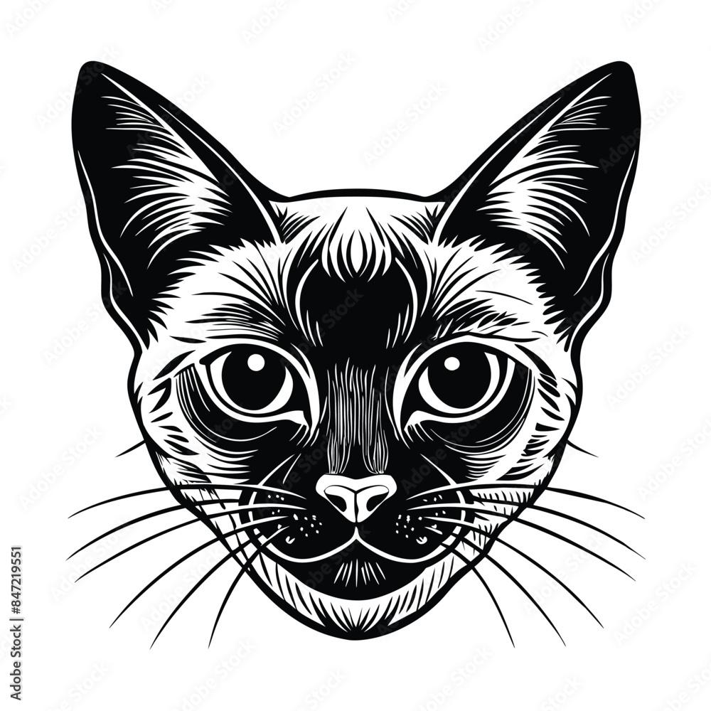 Burmese Cat Head Portrait - Detailed Black and White Vector Illustration of Feline Face with Intricate Line Work and Bold Design for Artistic and Creative Projects Burmese Cat Head Portrait - Detailed Black and White Vector Illustration of Feline Face with Intricate Line Work and Bold Design for Artistic and Creative Projects