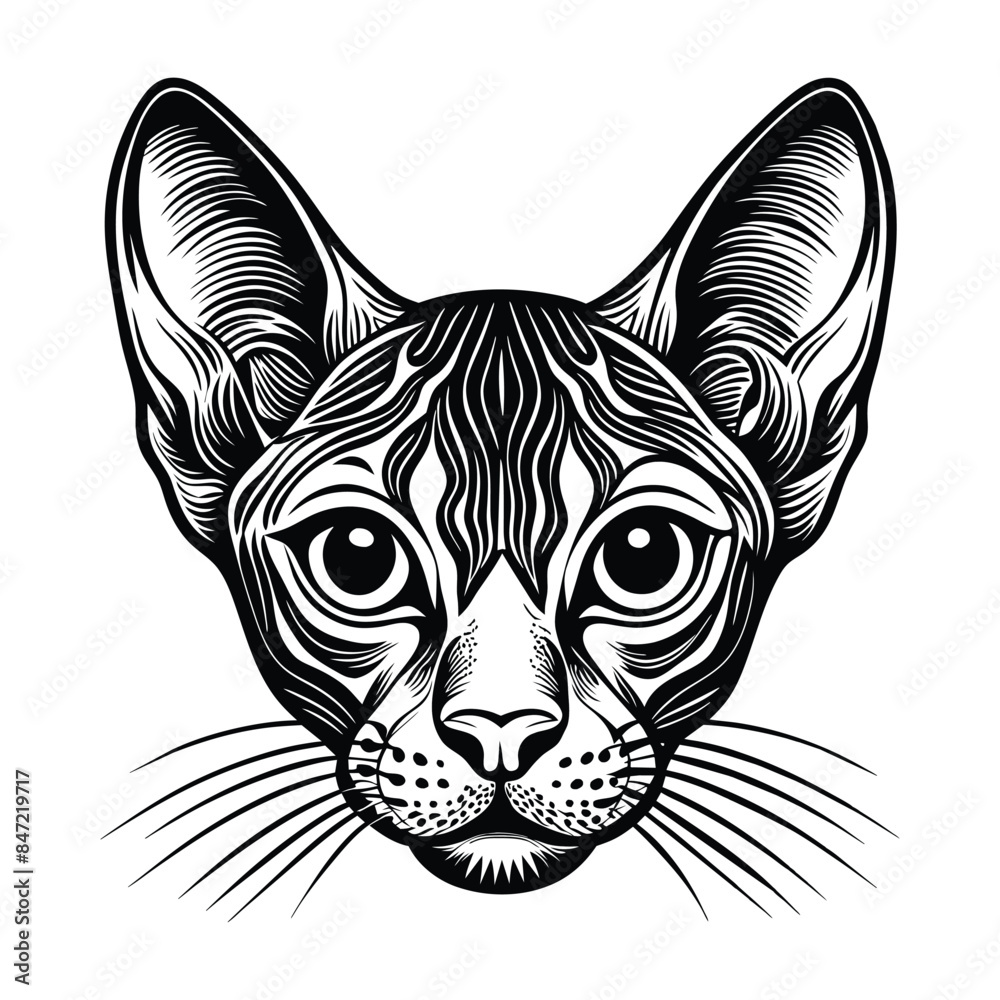 Detailed Vector Illustration of German Rex Cat Head Portrait in Black and White Detailed Vector Illustration of German Rex Cat Head Portrait in Black and White
