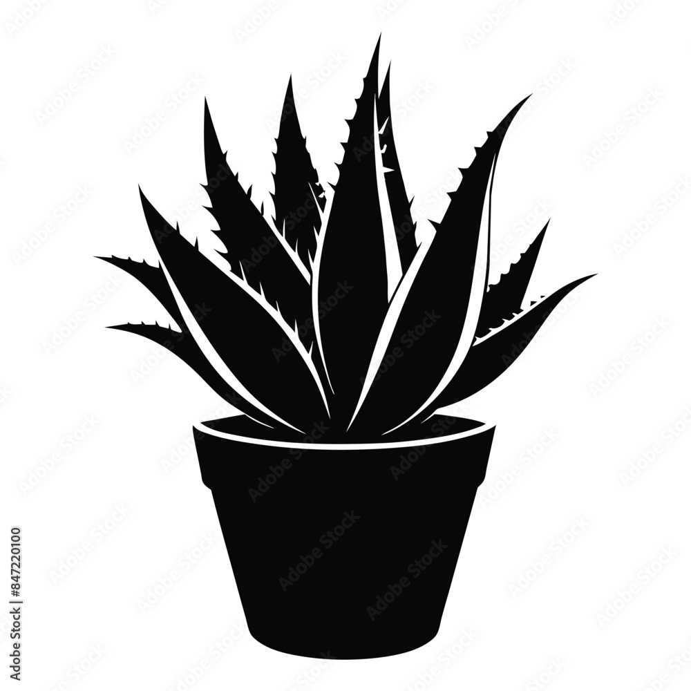 Silhouette of Aloe Vera Plant in Pot - Black and White Vector Illustration of Succulent Plant Icon for Garden, Home Decor, and Botanical Design Projects Silhouette of Aloe Vera Plant in Pot - Black and White Vector Illustration of Succulent Plant Icon for Garden, Home Decor, and Botanical Design Projects