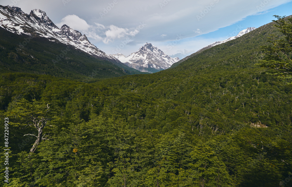 Green valley and snowy mountain Green valley and snowy mountain