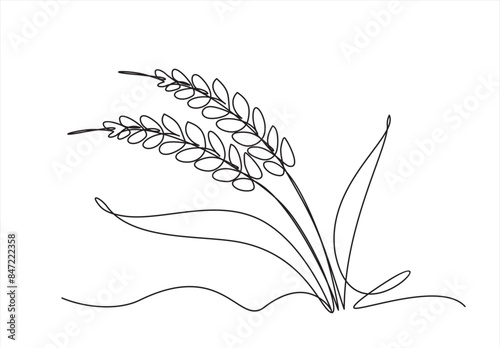 Continuous one line drawing of wheat. Barley or Rye outline vector illustration.