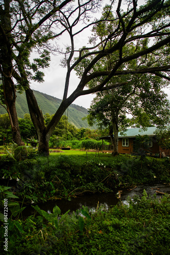Wallpaper Mural House in Waipio valley Torontodigital.ca