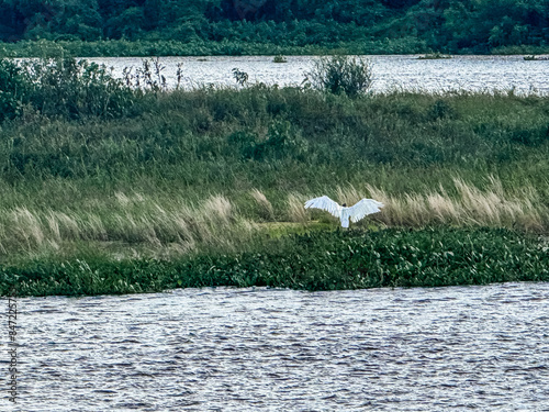 Rio Paraguai