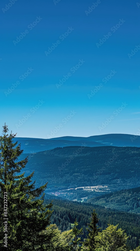 Obraz premium a mountain landscape adorned by lush green meadows and dense pine forests reaching up to the skyline, under the clear blue skies, evoking a sense of awe and tranquility.