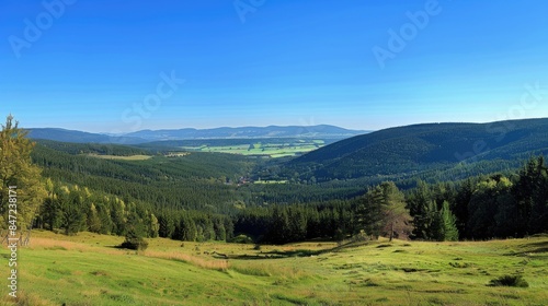 a mountain landscape adorned by lush green meadows and dense pine forests reaching up to the skyline  under the clear blue skies  evoking a sense of awe and tranquility.