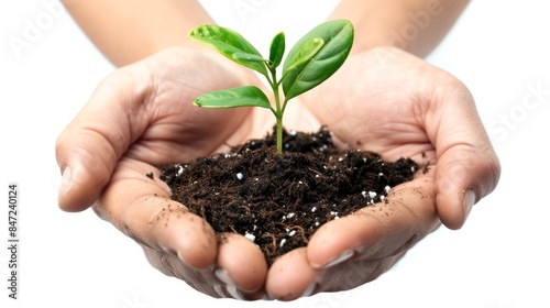 Close-up of two hands holding soil with a young green plant sprout emerging. This image symbolizes growth, care, and nurturing. Ideal for environmental, agricultural, and nature-related content. AI © Irina Ukrainets