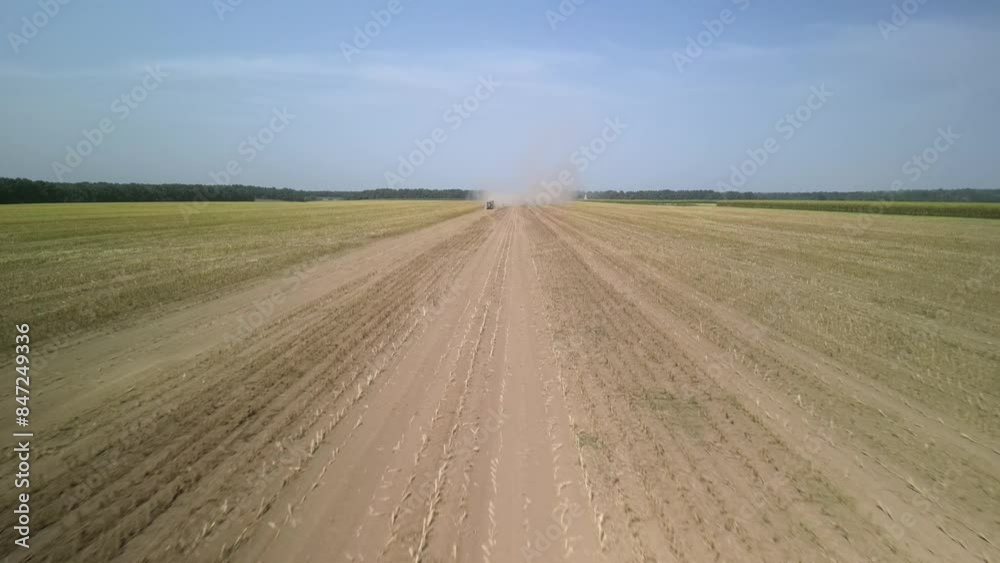 Corn silage harvesting process. Forage Harvester on the Corn Field. Combine harvesting corn