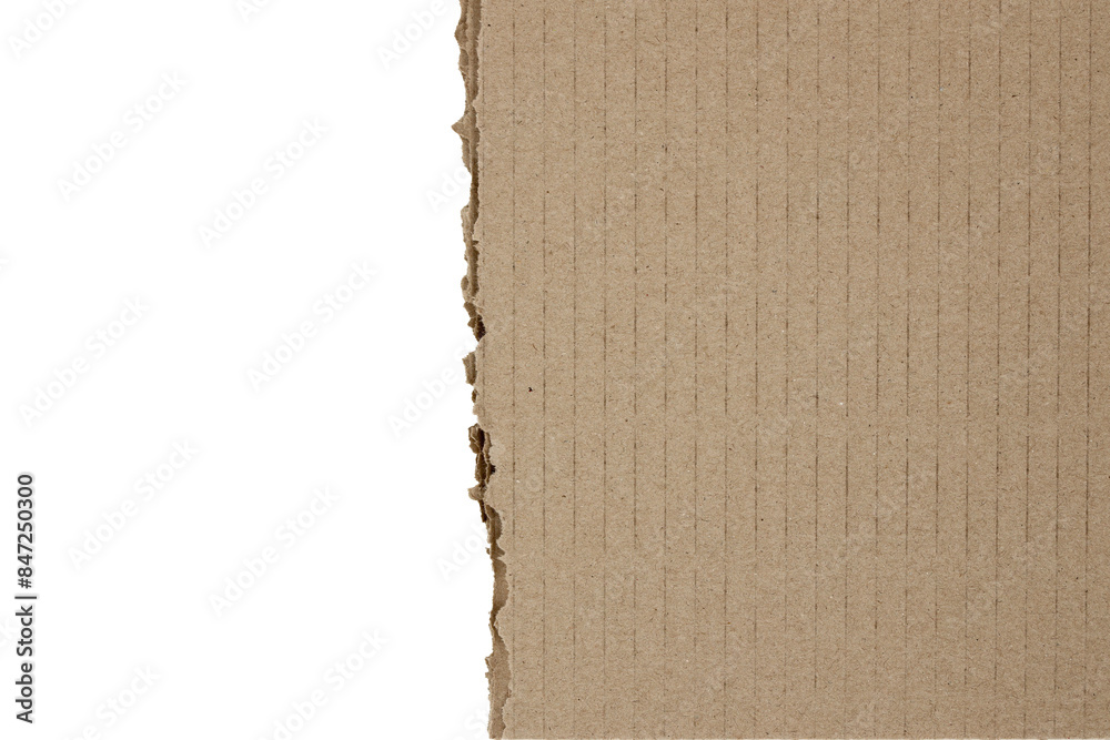 Fototapeta premium torn cardboard torn edge texture border 