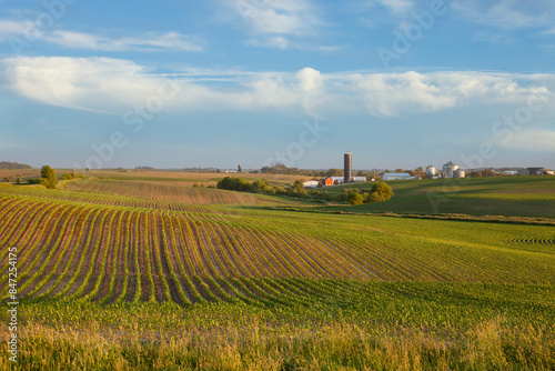 Iowa farm and fields of young corn at sunset on a beautiful day in late spring
