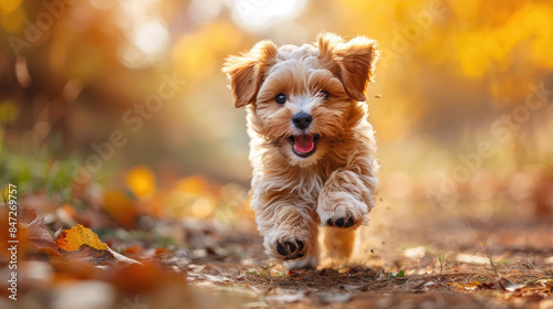 A playful puppy running in a sunny park, capturing joy and energy