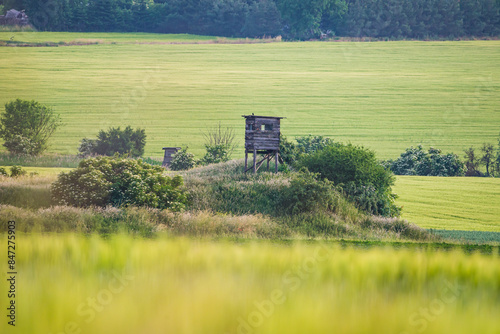 High seat in green field near Melnik, Czech republic, in Summer