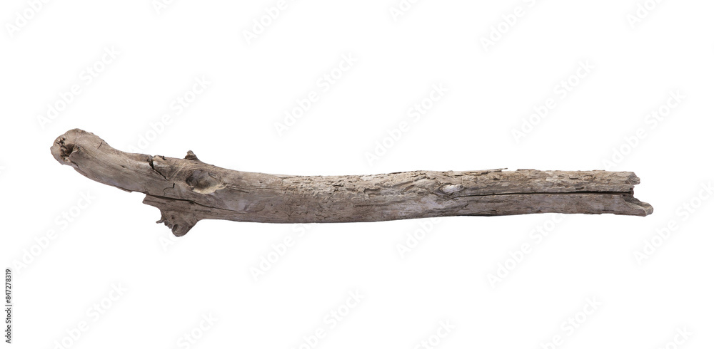 Old dry tree branch isolated on white