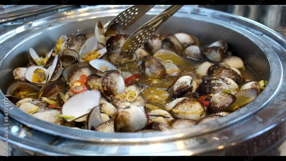 food mollusks shells Spotted babylon, or Babylonia areolata, is sea snail with distinctive spotted shell. Shell is smooth, glossy, with spiral ridges. Food concept. Seafood background. 4K. food mollusks shells Spotted babylon, or Babylonia areolata, is sea snail with distinctive spotted shell. Shell is smooth, glossy, with spiral ridges. Food concept. Seafood background. 4K.