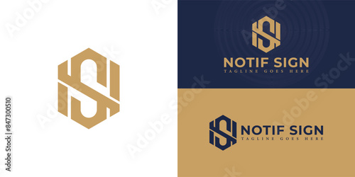 Abstract initial hexagon letters NS or SN logo in gold color isolated on multiple background colors. The logo is suitable for human resources company logo vector design illustration inspiration