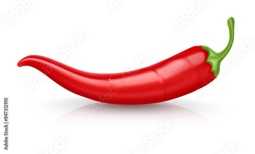 Red Hot chili pepper pod. Realistic Spicy vegetable mexican cooking ingredient for salsa. Isolated. PNG Illustration.