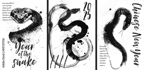 Year of the snake 2025. Chinese new year poster with painted snake design