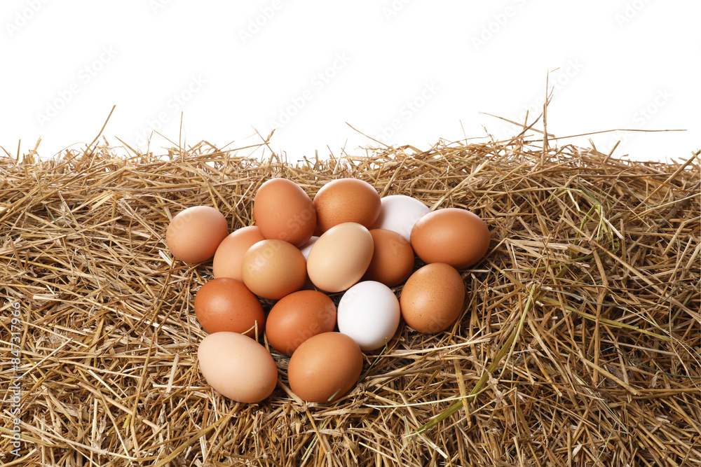 Fresh chicken eggs on dried straw against white background Fresh chicken eggs on dried straw against white background