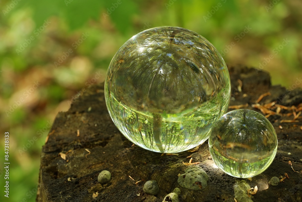 Green trees outdoors, overturned reflection. Crystal balls on stump in forest Green trees outdoors, overturned reflection. Crystal balls on stump in forest