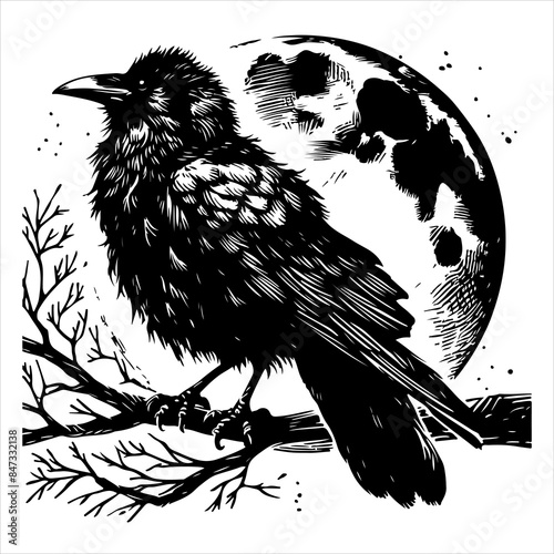 Crow black outline illustration.