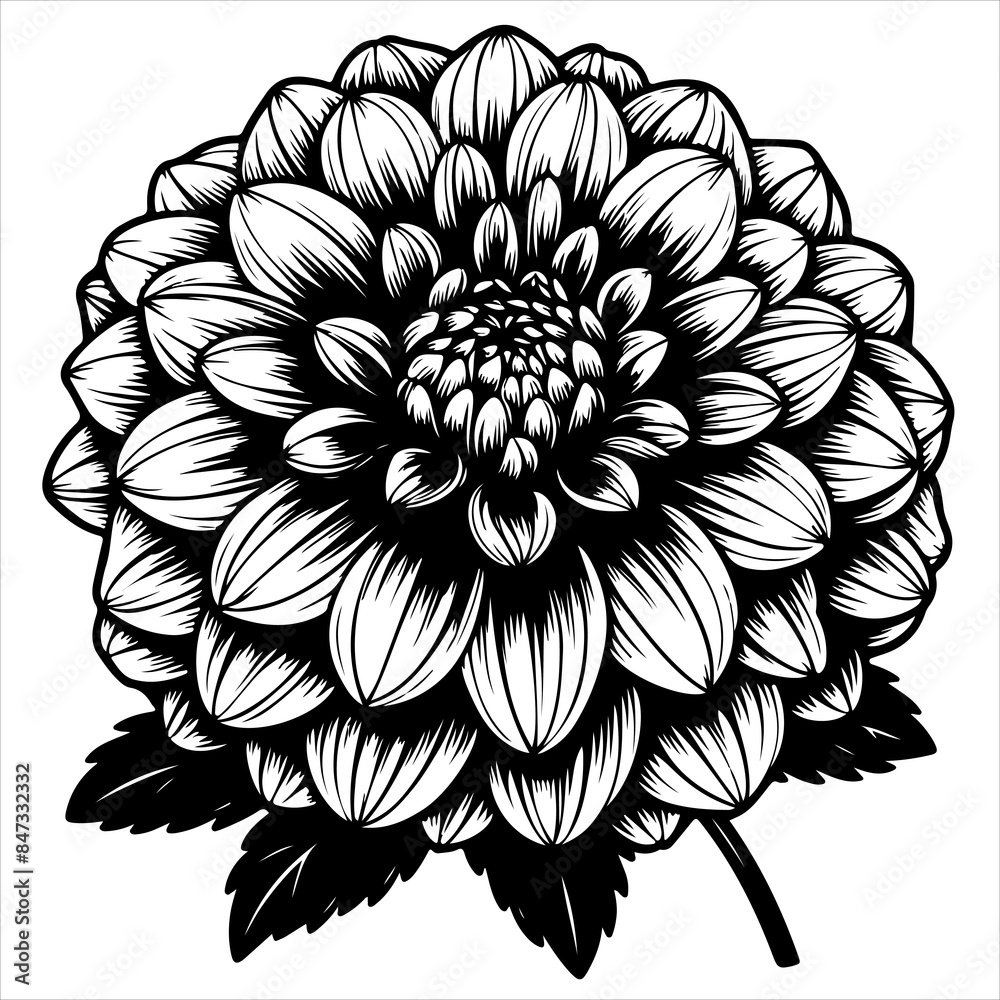 Dahlia flower black outline illustration. Dahlia flower black outline illustration.