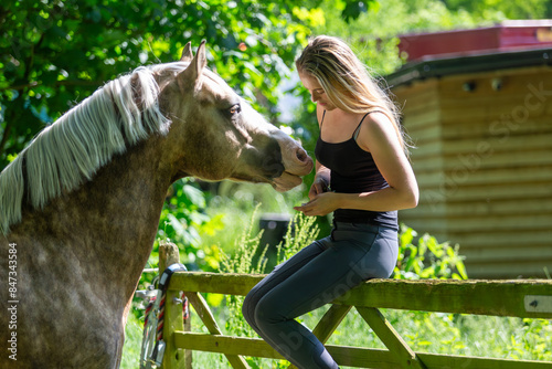Girl sitting on gate feeding her horse treats, Image shows a 25 year old girl sitting on a wooden gate with a palomino section D Welsh cob pony, stallion in his paddock on a small farm in Surrey